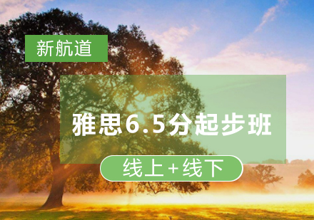 雅思6.5分起步班