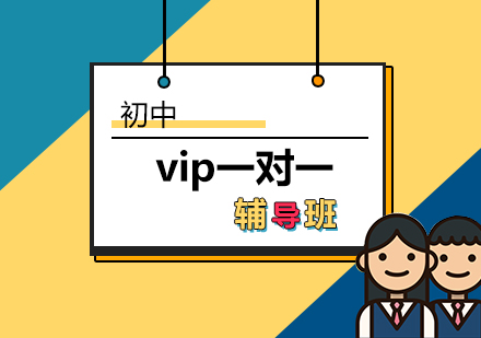 初中vip一对一辅导班