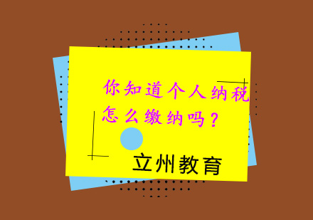个人所得税缴纳实务解析与操作指南