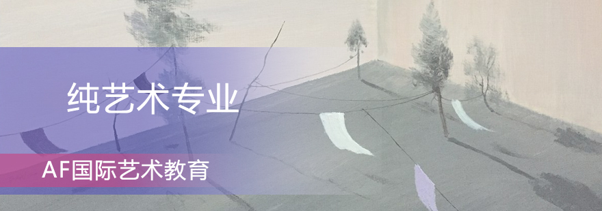 纯艺术专业课程