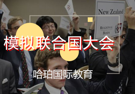 模拟联合国大会