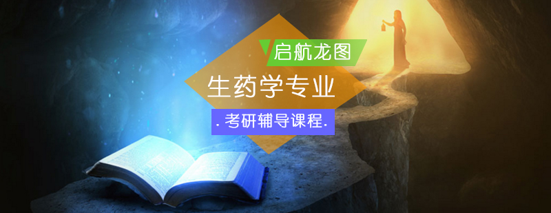 生药学考研核心知识点解析
