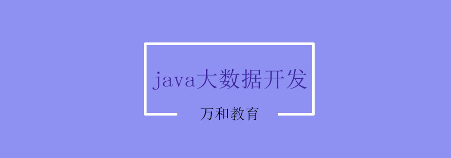 Java大数据实战课程封面