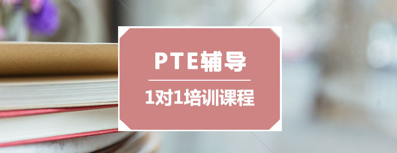 PTE一对一教学场景