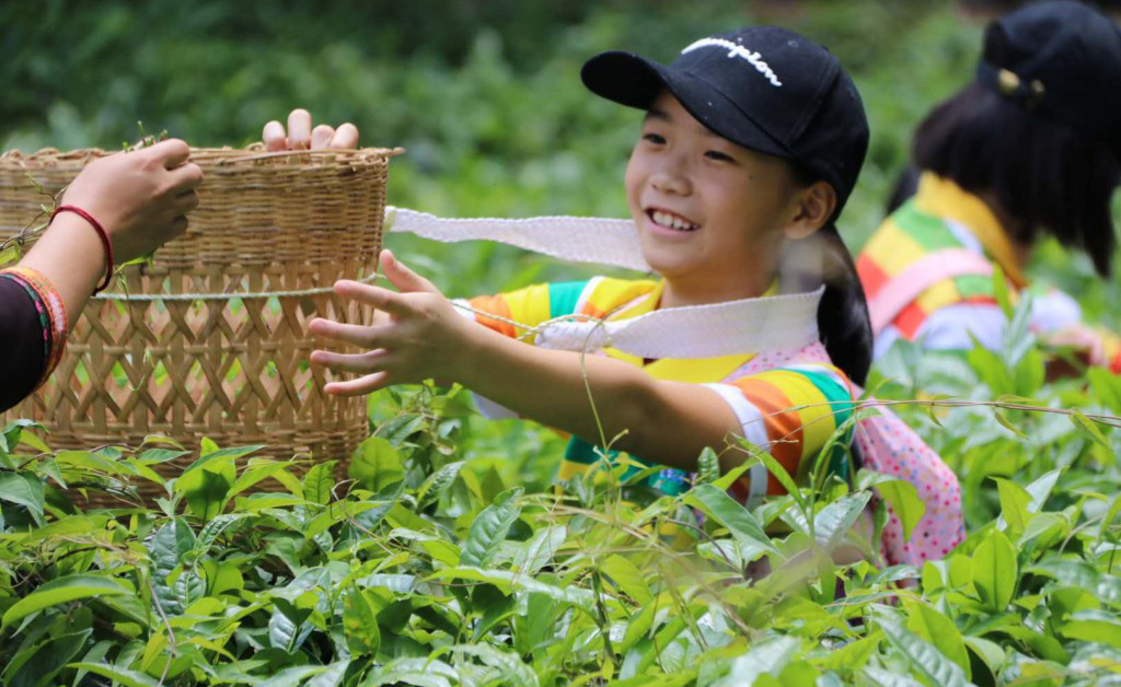 学员风采