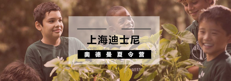 迪士尼研学活动实拍