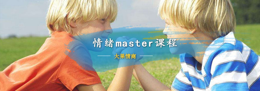 苏州情绪master课程