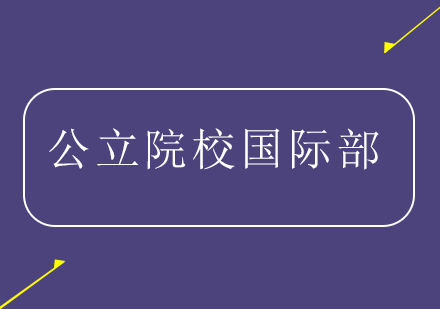 公立学校国际部