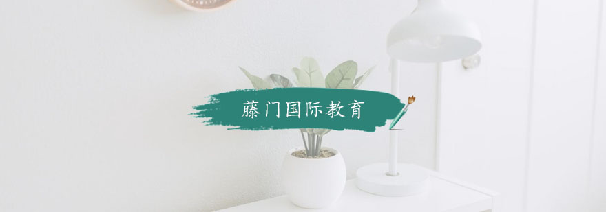 藤门国际教育