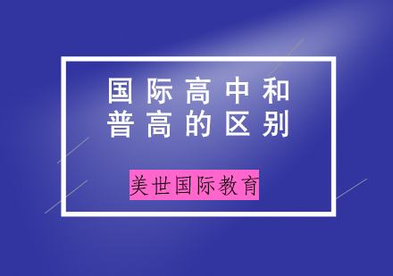 国际教育路径深度解析：国际高中与传统普高对比指南