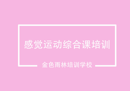 感觉运动综合课培训