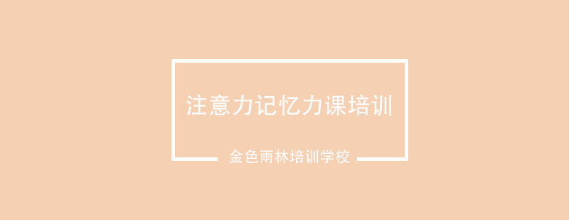 成都专注力训练机构