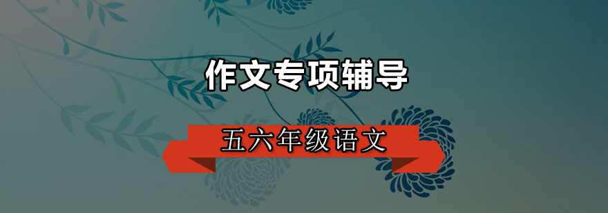 作文辅导课堂实景