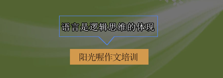 语言逻辑培养