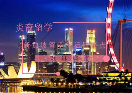 狮城生存指南：留学生必知的四大核心要点