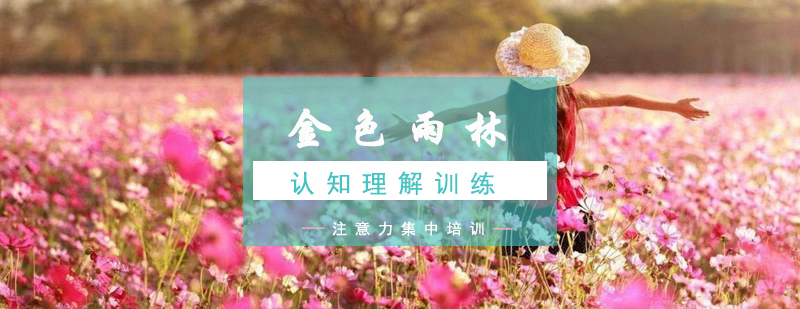 认知能力培养体系