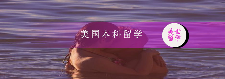 留学申请示意图