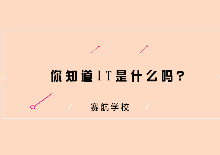 IT行业职业发展深度解析