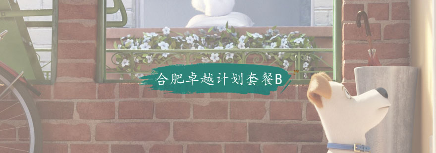 合肥卓越计划套餐B