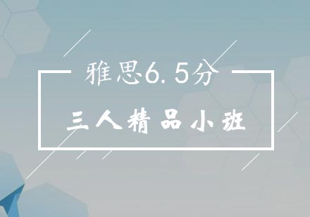 雅思6.5分三人精品小班培训
