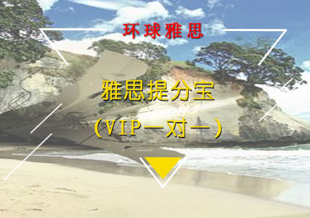 雅思提分宝（VIP一对一）
