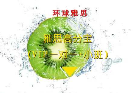 雅思高分宝（VIP一对一+小班）