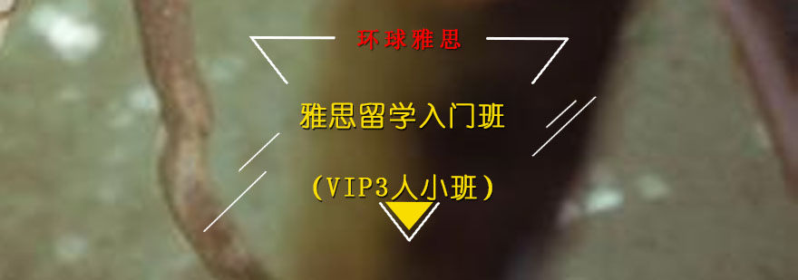雅思小班课堂实景