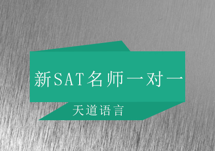 广州新SAT一对一培训