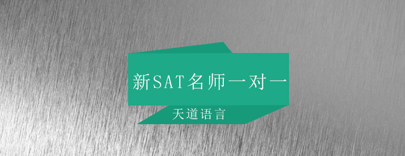 广州新SAT*一对一培训