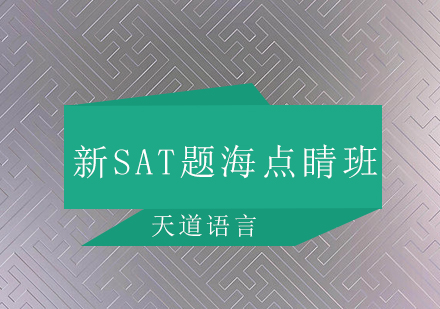 广州新SAT题海点睛培训