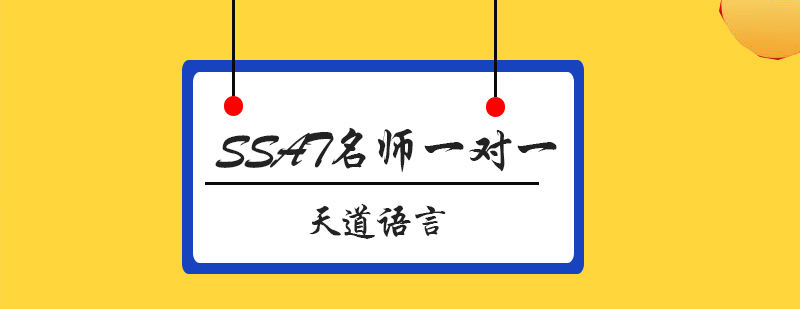 SSAT定制化教学