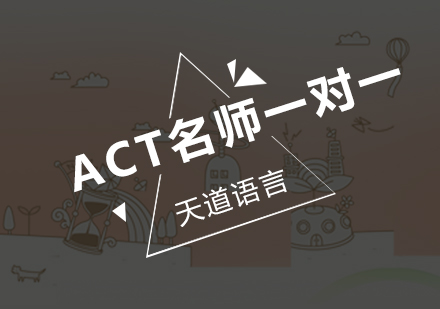 广州ACT一对一培训