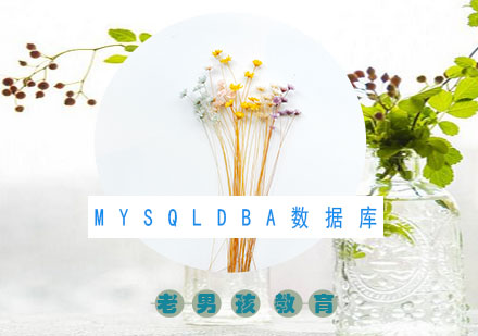 MySQLDBA数据库培训