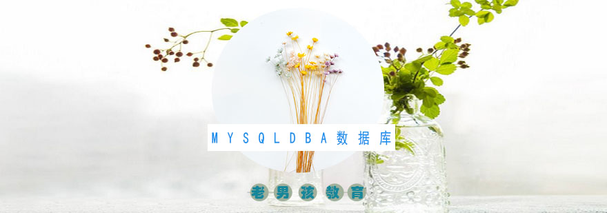 MySQLDBA数据库培训