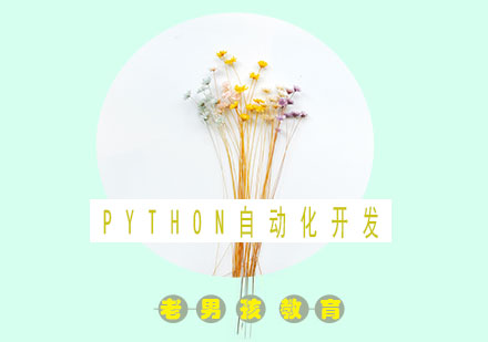 Python自动化开发周末精英班