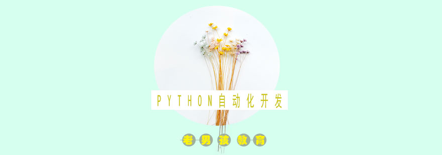 Python自动化开发周末精英班