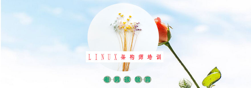 Linux架构师