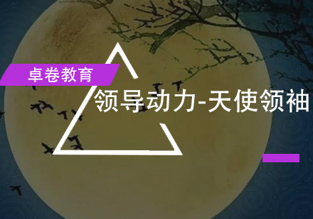 领导动力-天使领袖