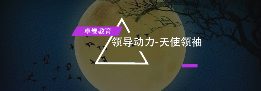 领导动力课程实景