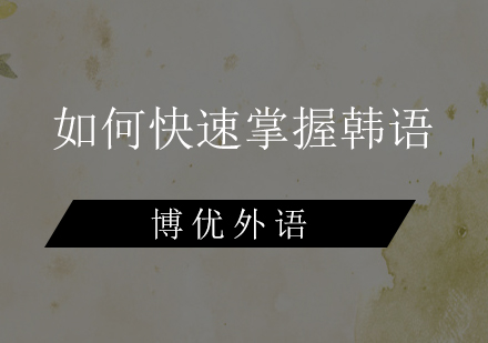 高效韩语学习路径全解析
