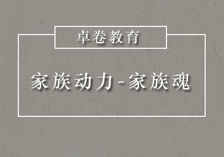家族动力-家族魂