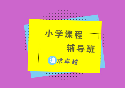 北京文新学堂小组班教学模式深度解析