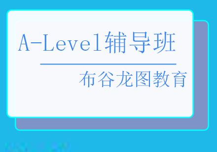 北京布谷龙图A-level定制化教学体系解析