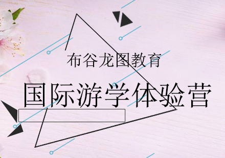 布谷龙图国际教育特色游学项目深度解析