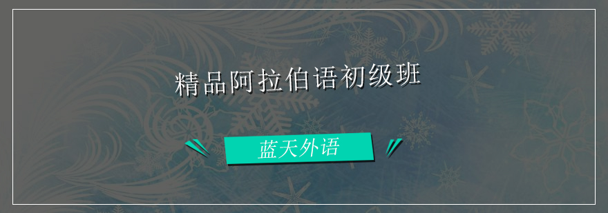 阿拉伯语课堂实景