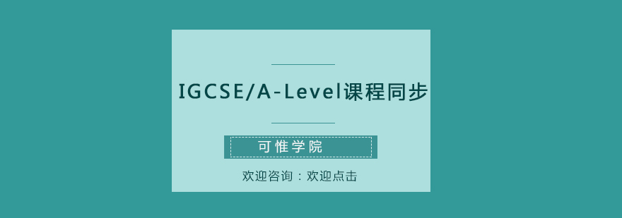 IGCSEALevel课程同步辅导与预修