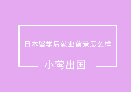 日本留学市场深度解析与职业规划指南