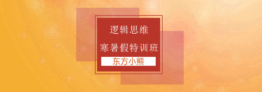 逻辑思维训练课堂实景