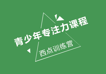 青少年专注力提升专项训练课程解析