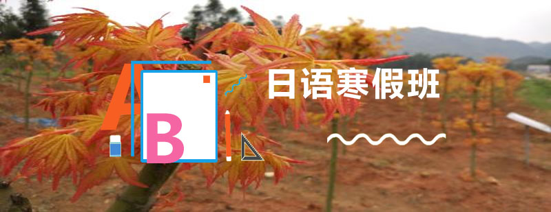 日语课堂实景